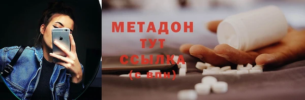шишки Аркадак