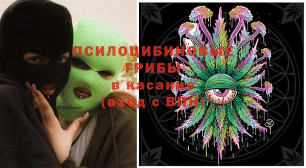 шишки Аркадак