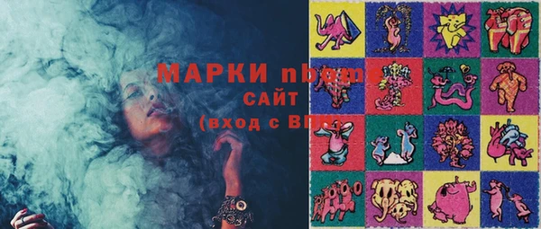 шишки Аркадак