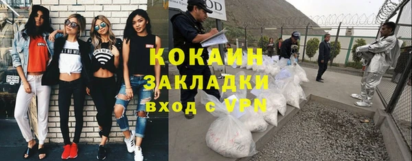 шишки Аркадак