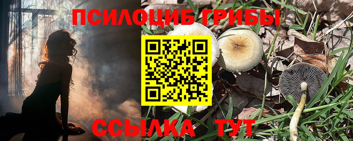 Галлюциногенные грибы ЛСД  Вход с VPN  Чернушка  Галлюциногенные грибы мухоморы 