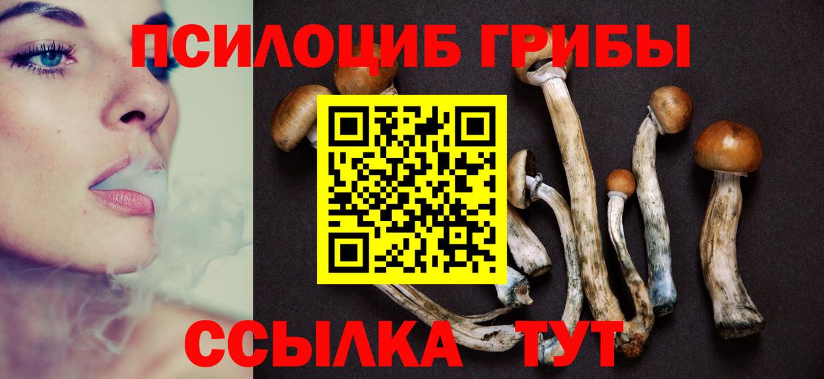Псилоцибиновые грибы мухоморы Чернушка